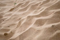 140737530348173_7c03